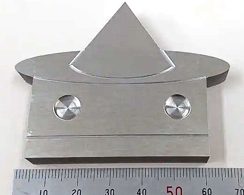 ハロウィンフジボー2